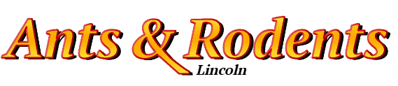 Lincoln Ant Exterminator & Rodent Control Company Logo